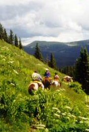 Sangre de Cristo Mountains